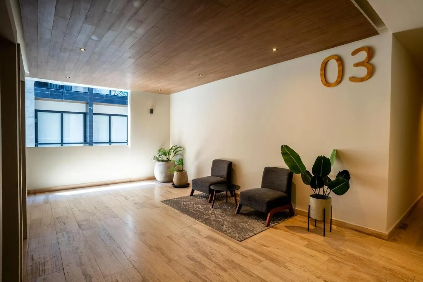 פלאייה דל כרמן Musa Del Carmen- Modern 5Th Avenue Apt W/ Rooftop דירה פלאייה דל כרמן