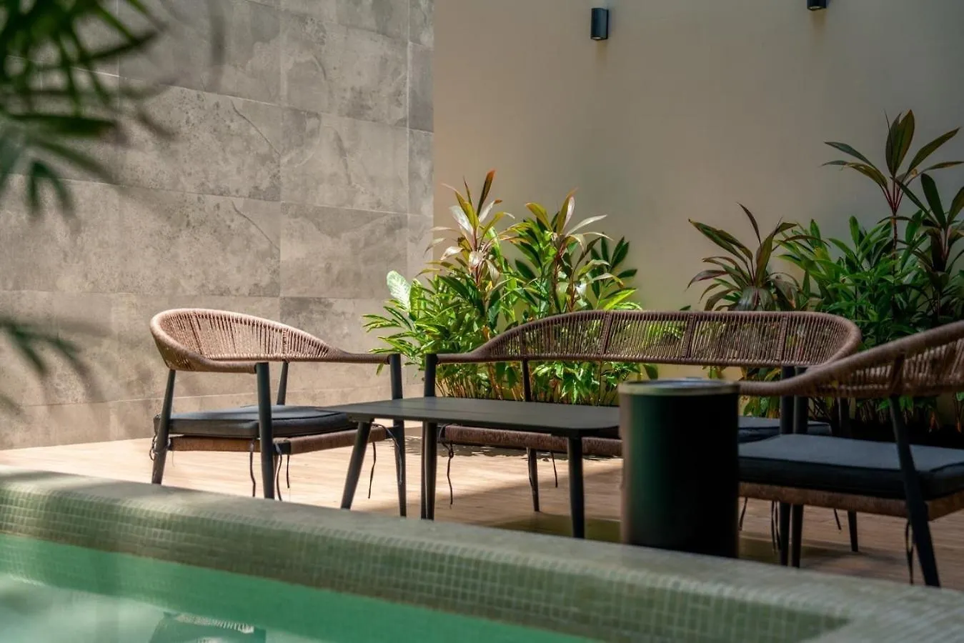 פלאייה דל כרמן Musa Del Carmen- Modern 5Th Avenue Apt W/ Rooftop מקסיקו