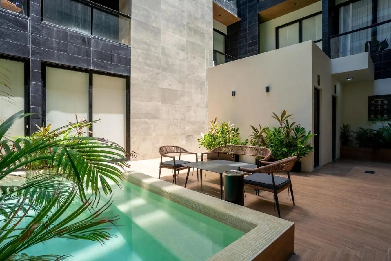 דירה פלאייה דל כרמן Musa Del Carmen- Modern 5Th Avenue Apt W/ Rooftop מקסיקו